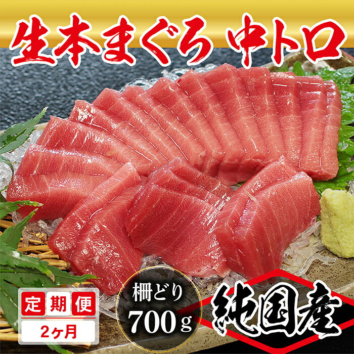 大満足！生本まぐろ中トロ 700g（柵どり） × 2回お届け （毎月お届け） 2ヶ月 / 送料 無料 福井県 越前市 武生 鮪 マグロ 未冷凍 生まぐろ 生マグロ 本鮪 中とろ コース 新鮮 お刺身 お造り おろし ブロック 魚 切り身 海鮮丼 漬け丼 (18209)