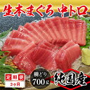 【ふるさと納税】【定期便3回】大満足!生本まぐろ中トロ 700g(柵どり) × 3回お届け (毎月お届け) 3ヶ月 / 送料 無料 福井県 越前市 武生 鮪 マ...