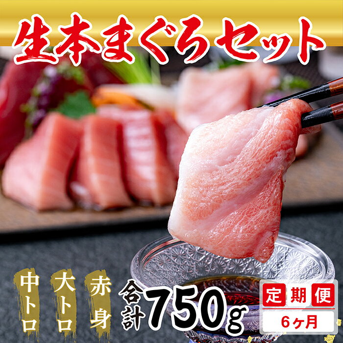 冷蔵でお届け！人気の生本まぐろ堪能セット（柵どり） 計750g × 6回お届け （毎月お届け） 6ヶ月 / 送料 無料 福井県 越前市 武生 鮪 マグロ 未冷凍 生まぐろ 生マグロ 本鮪 大トロ 中トロ 赤身 とろ コース 新鮮 お刺身 魚 海鮮丼（18209）