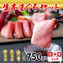 【ふるさと納税】【定期便6回】冷蔵でお届け!人気の生本まぐろ堪能セット(柵どり) 計750g × 6回お届け (毎月お届け) 6ヶ月 / 送料 無料 福井県 越...