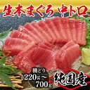 【ふるさと納税】【冷蔵・指定日着可】国産 生本マグロ 中トロ 220g〜700g(柵どり) / 送料 無料 福井県 越前市 鮪 未冷凍 生まぐろ 生マグロ 本鮪...