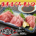 【ふるさと納税】【冷蔵・指定日着可】国産 生本マグロ 大トロ250g〜800g(柵どり) /送料無料 福井県越前市 鮪 新鮮 お刺身 おさしみ お造り おつくり...