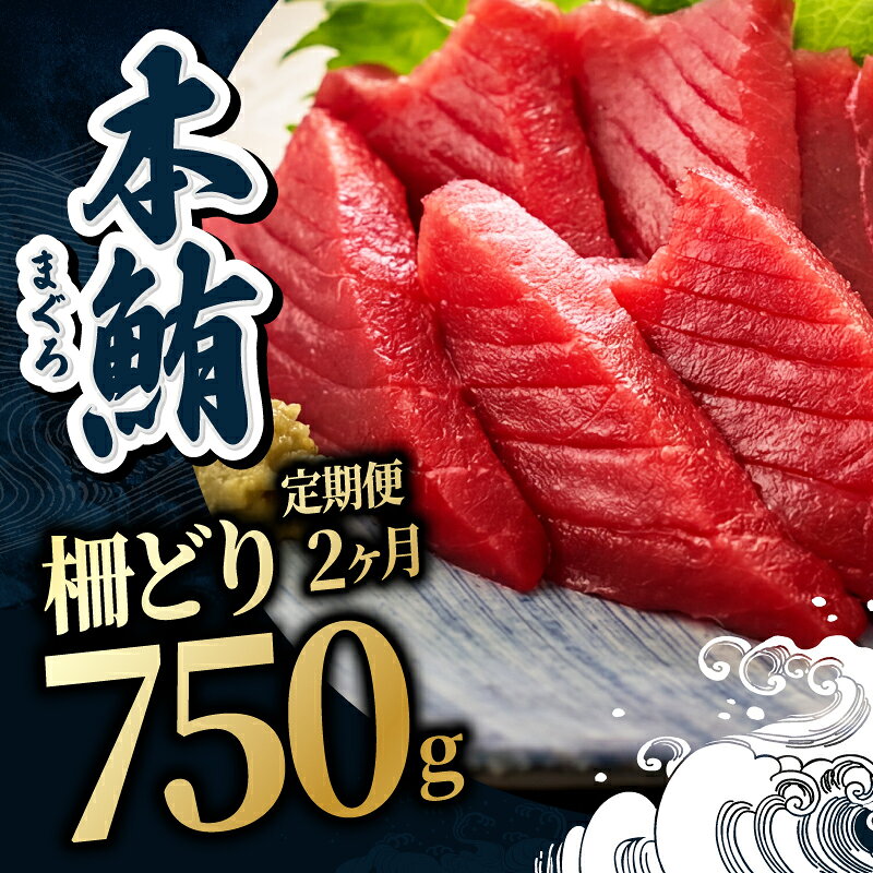 【ふるさと納税】【定期便2回】大満足！生本まぐろ赤身 750g（柵どり） × 2回お届け （毎月お届け） 2ヶ月 / 送料 無料 福井県 越前市 武生 鮪 マグロ 未冷凍 生まぐろ 生マグロ 本鮪 コース 新鮮 お刺身 お造り おろし ブロック 魚 切り身 海鮮丼 漬け丼 (18209) f182095-echizen-10000220 福井県越前市 サンプル画像2