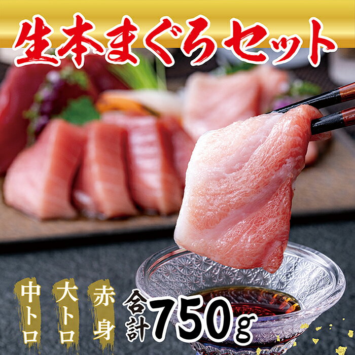 [冷蔵・指定日着可]国産 生本マグロ堪能セット(柵どり)大トロ 中トロ 赤身 各250g/ 送料無料 福井県 越前市 鮪 生まぐろ 生マグロ 本鮪 大とろ 中とろ 新鮮 お刺身 お造り 海鮮丼 まぐろ丼 発送時期が選べる(18209)