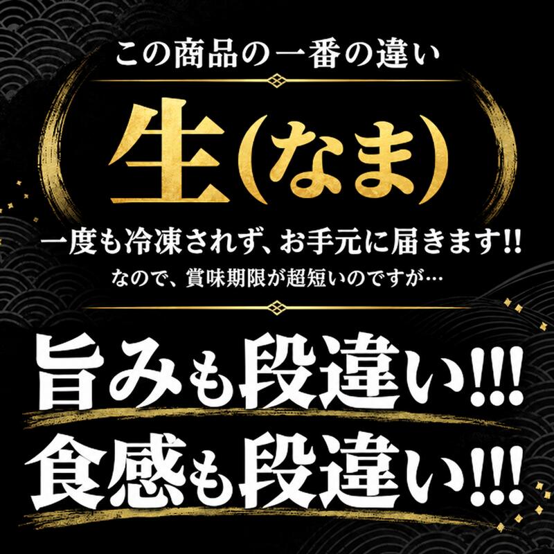【ふるさと納税】【冷蔵・指定日着可】国産 生本マグロ堪能セット（柵どり）大トロ 中トロ 赤身 各200g・各350g/ 送料無料 福井県 越前市 鮪 生まぐろ 生マグロ 本鮪 大とろ 中とろ 新鮮 お刺身 海鮮丼 まぐろ丼 発送時期が選べる（18209） f182095-echizen-10000064 福井県越前市 サンプル画像2