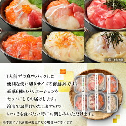 【ふるさと納税】〈指定日着可〉【純国産】数量限定！海鮮丼の具の贅沢6種類セット（無添加仕様）/ 送料無料 福井県 越前市 武生 冷凍 鮪 まぐろ サーモン タイ 鯛 鮭 いくら タレ付き いか イカ いか ブリ 発送時期が選べる(18209)･･･ 画像1