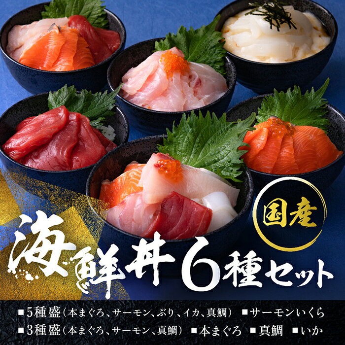 [指定日着可][純国産]数量限定!海鮮丼の具の贅沢6種類セット/ 送料無料 福井県 越前市 武生 冷凍 鮪 まぐろ サーモン タイ 鯛 鮭 いくら タレ付き いか イカ ぶり ブリ とびっこ 発送時期が選べる(18209)