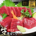 【ふるさと納税】【冷蔵・指定日着可】国産 生本マグロ 赤身 200g~750g(柵どり/ 送料 無料 福井県 越前市 鮪 未冷凍 生まぐろ 生マグロ 本鮪 新鮮 お刺身 おさしみ お造り 切り身 切身 海鮮 海鮮丼 まぐろ丼 発送時期が選べる (18209)