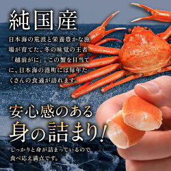 【ふるさと納税】越前がに (オス) ずわいがに 特大サイズ 1kg〜1.2kg ×2杯 / 送料 無料 福井県 越前市 武生 かに カニ 蟹 越前かに 越前ガニ 越前カニ ズワイガニ 雄 発送時期が選べる(18209)･･･ 画像1