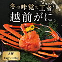 【ふるさと納税】越前がに (オス) ずわいがに 特大サイズ 1kg〜1.2kg ×2杯 / 送料 無料 福井県 越前市 武生 かに カニ 蟹 越前かに 越前ガニ 越前カニ ズワイガニ 雄 発送時期が選べる(18209)･･･