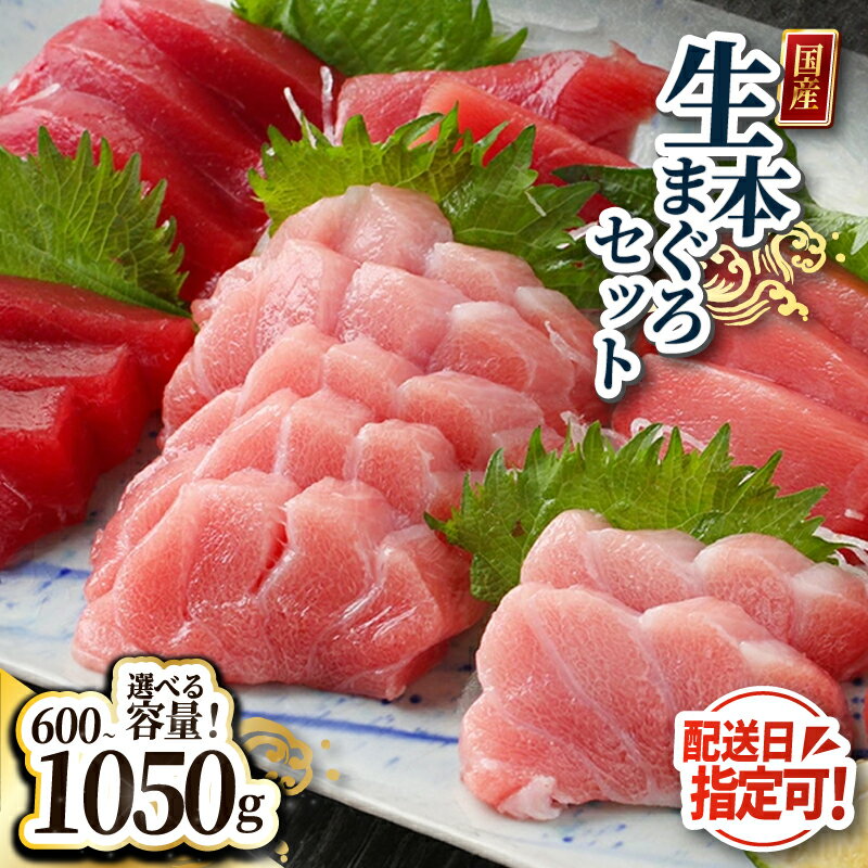 【ふるさと納税】【冷蔵 指定日着可】国産 生本マグロ堪能セット（柵どり）大トロ 中トロ 赤身 各200g 各350g/ 送料無料 福井県 越前市 鮪 生まぐろ 生マグロ 本鮪 大とろ 中とろ 新鮮 お刺身 海鮮丼 まぐろ丼 発送時期が選べる（18209）