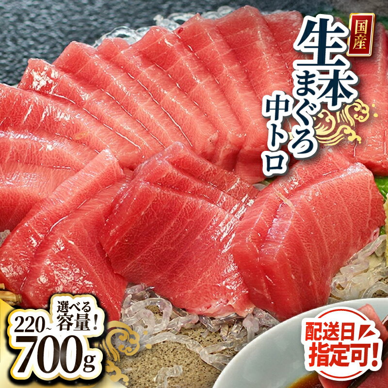【ふるさと納税】【冷蔵・指定日着可】国産 生本マグロ 中トロ 220g〜700g(柵どり) / 送料 無料 福井...