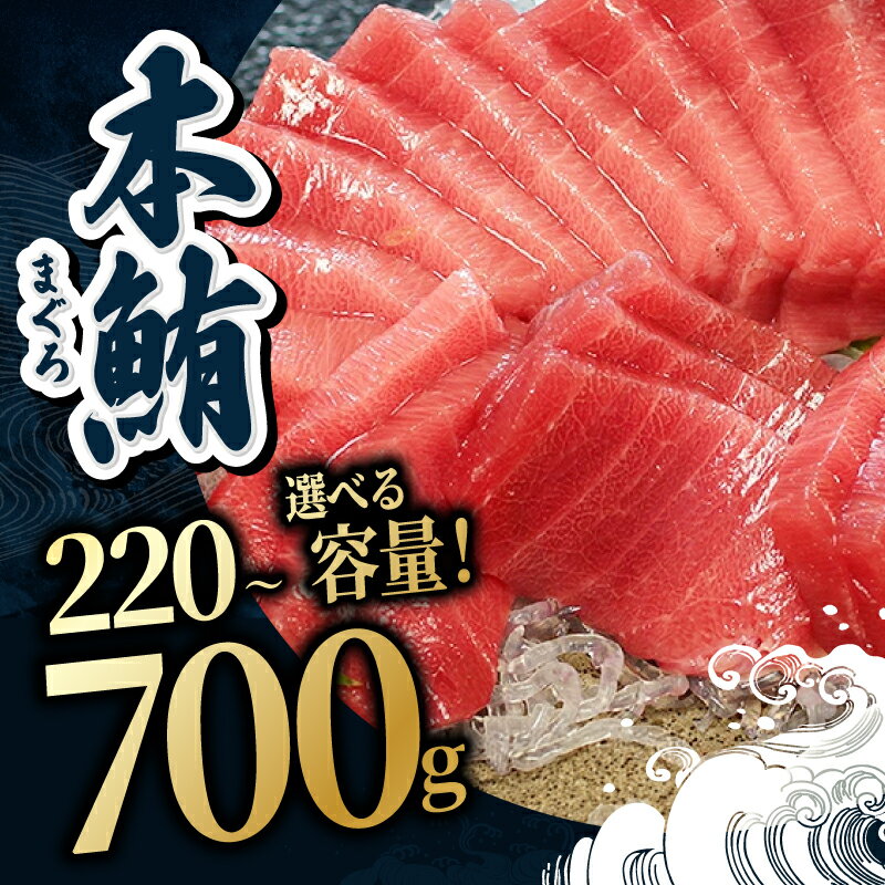 【ふるさと納税】【冷蔵・指定日着可】国産 生本マグロ 中トロ 220g〜700g(柵どり) / 送料 無料 福井県 越前市 鮪 未冷凍 生まぐろ 生マグロ 本鮪 中とろ 新鮮 お刺身 おさしみ お造り 切身 海鮮 海鮮丼 まぐろ丼 漬け 発送時期が選べる(18209)