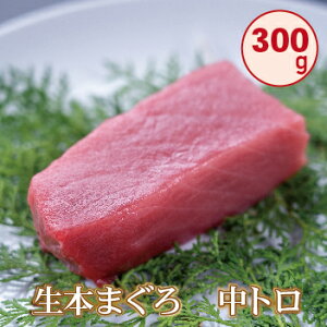 【ふるさと納税】冷蔵でお届け!! 国産 生本まぐろ 中トロ 300g（柵どり）/ 送料 無料 福井県 越前市 武生 鮪 マグロ 未冷凍 生まぐろ 生マグロ 本鮪 中とろ 新鮮 お刺身 おさしみ お造り カット おろし ブロック 魚 切り身 切身 海鮮 丼 海鮮丼 まぐろ丼 漬け 漬け丼(18209）