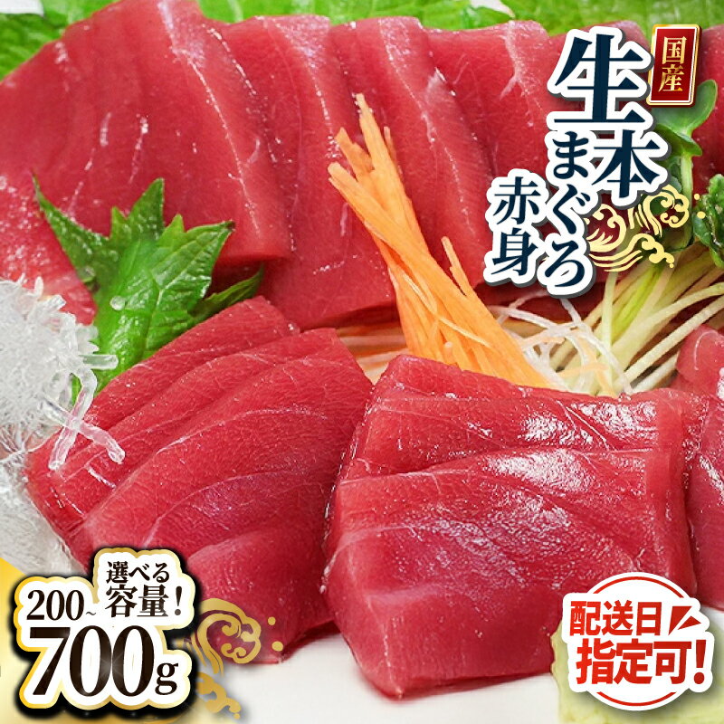 【ふるさと納税】【冷蔵・指定日着可】国産 生本マグロ 赤身 200g〜700g（柵どり/ 送料 無料 福井県 越前市 鮪 冷蔵 未冷凍 生まぐろ 生マグロ 本鮪 新鮮 お刺身 おさしみ お造り 切り身 切身 海鮮 海鮮丼 まぐろ丼 発送時期が選べる (18209）