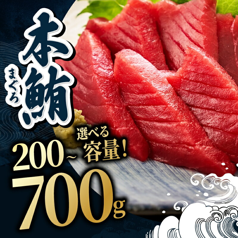【ふるさと納税】マグロ【冷蔵・指定日着可】国産 生本マグロ 赤身 200g〜700g（柵どり/ 送料 無料 福井県 越前市 鮪 冷蔵 まぐろ 生 未冷凍 生まぐろ 生マグロ 本鮪 新鮮 お刺身 おさしみ お造り 切り身 切身 海鮮 海鮮丼 まぐろ丼 発送時期が選べる (18209）