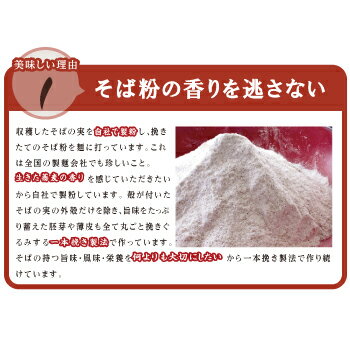 【ふるさと納税】【定期便3回】創業90余年の老舗・越前そばの里　常温で長期保存できる「越前そば」10食　楽天そばランキング常連の 越前そばの里がふるさと納税でも！送料無料 そば 越前そば 福井県 越前市 おうち時間 蕎麦（18209）