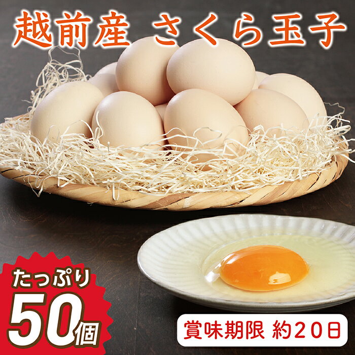 お届け日指定可 越前産 さくら玉子 50個(45個+割れ補償5個入り)/送料無料 福井県 越前市 卵 たまご タマゴ (18209)