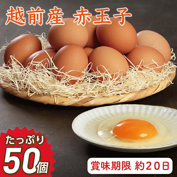 16位! 口コミ数「30件」評価「4.37」お届け日指定可　越前産 赤玉子 50個（45個＋割れ補償5個入り）／送料無料 福井県 越前市 卵 たまご タマゴ (18209)