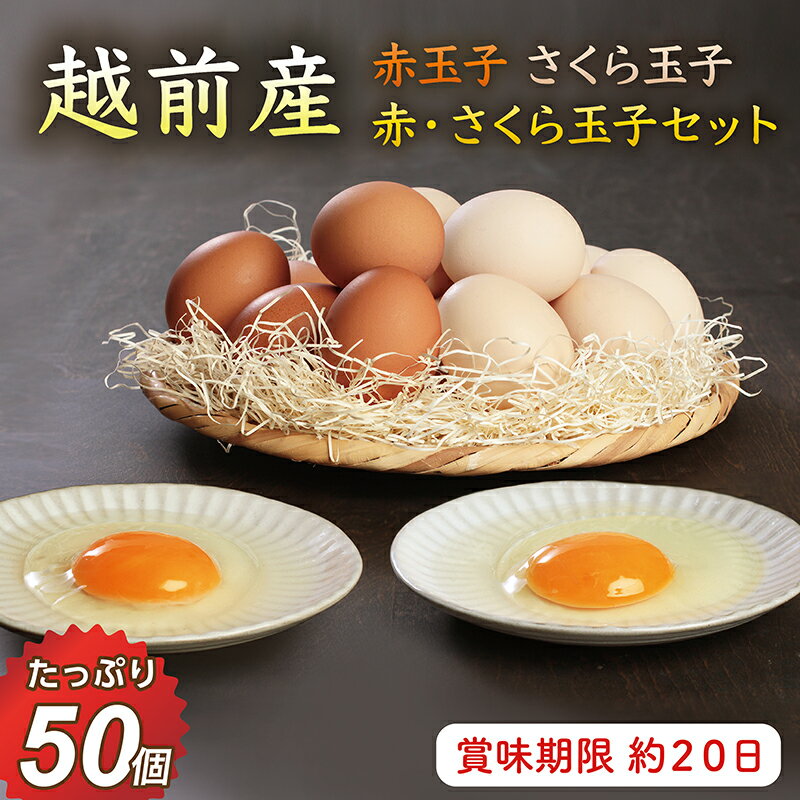 【ふるさと納税】お届け日指定可 越前産 赤玉子 さくら玉子 赤玉子とさくら玉子セット 50個(45個+割れ補償5個入り)定期便 3回 6回 12回/送料無料 福...
