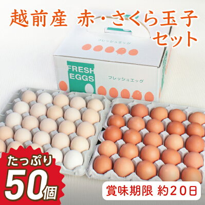 楽天ふるさと納税　【ふるさと納税】お届け日指定可　越前産 赤玉子とさくら玉子セット合計50個（45個+割れ補償5個入り）／送料無料 福井県 越前市 卵 たまご タマゴ (18209)