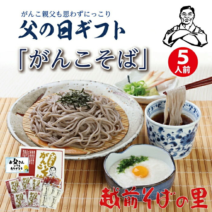 【ふるさと納税】 予約受付中！ 父の日 がんこそば5食 （越前そばの里） 父の日ランキング入賞！とろろそば 送料無料 福井県 越前市（B814-1）ギフト 越前そば