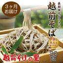 【ふるさと納税】【定期便3回】創業90余年の老舗・越前そばの里 常温で長期保存できる「越前そば」20食 楽天そばランキング常連の 越前そばの里がふるさと納税でも!送料無料 そば 越前そば 福井県 越前市 おうち時間 蕎麦(18209)