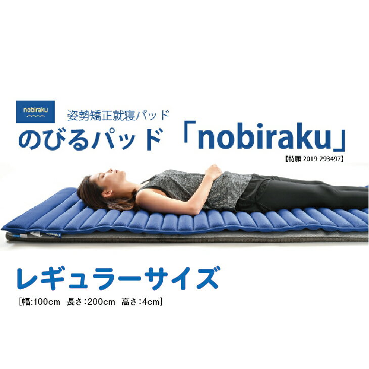 姿勢矯正就寝パッド nobiraku "ノビラク"【レギュラーサイズ／ノーマル】/送料無料 福井県 越前市 首 肩 腰 腰痛 頸椎 のびらく マットレス (18209)