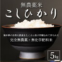 【ふるさと納税】【新米 令和5年産】無農薬米5kg 玄米/白米選択可【こしひかり】/ 送料無料 福井県 越前市 米 コシヒカリ 無農薬 2023年度産（18209）