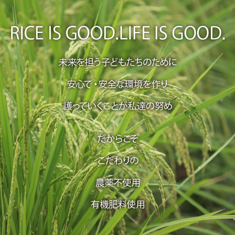 福井県越前市の画像3