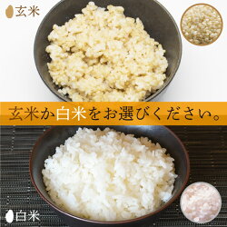 【ふるさと納税】【令和4年産】無農薬米10kg（5kg×2）　玄米/白米選択可【こしひかり】/ 送料無料 福井県 越前市 米 コシヒカリ 無農薬 2022年度産（18209）･･･ 画像1