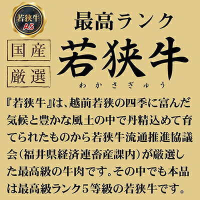 福井県越前市の画像3