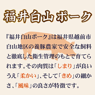 福井県越前市の画像2