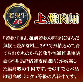 福井県越前市の画像3