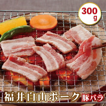福井白山ポーク 300g 豚バラ 焼肉用 / 送料 無料 国産 福井 越前 武生 豚肉 やきにく カルビ (18209)