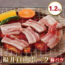 【ふるさと納税】福井白山ポーク 1.2kg 豚バラ 焼肉用 / 送料 無料 国産 福井 越前 武生 豚肉 やきにく カルビ (18209）