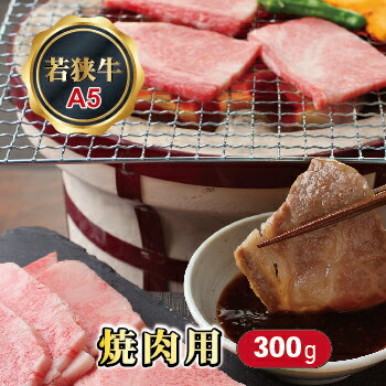 24位! 口コミ数「0件」評価「0」若狭牛 焼肉用（A5ランク） 300g / 送料 無料 国産 福井 越前 武生 牛肉 やきにく カルビ バラ (18209）