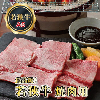 福井県越前市の画像2