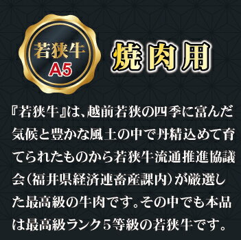 福井県越前市の画像3