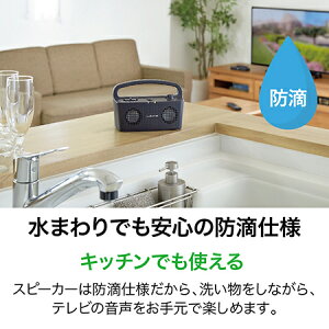 【ふるさと納税】テレビの音声がはっきり聞けるお手元テレビスピーカー ブラック/ 送料無料 福井 越前市 武生 イヤホン 補聴器 充電 キッチン 台所 リビング 居間 防滴 介護 コードレス ポータブル ハンズフリー 持ち運び 移動 育児 おひるね 昼寝 おひる寝(18209)