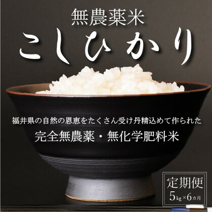 【新米 令和5年産】無農薬米5kg×6回定期便　玄米/白米選択可【こしひかり】/ 送料無料 福井県 越前市 米 コシヒカリ 無農薬（18209）