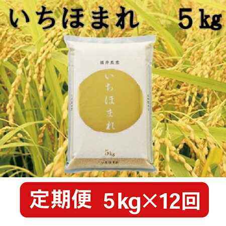 【ふるさと納税】【定期便12回】福井県産いちほまれ5kg×12回　（毎月お届け）【事...