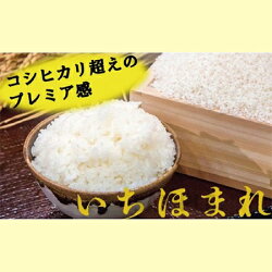 【ふるさと納税】【令和3年度産】福井県産いちほまれ10kg 数量限定 【事業者緊急支援】/ 送料無料 福井県 越前市 米 いちほまれ 2021年産（18209）･･･ 画像1