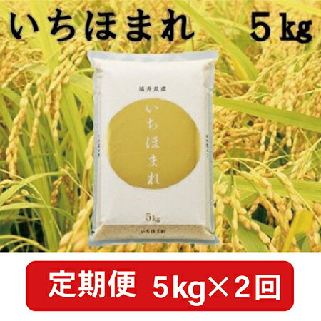 【ふるさと納税】【定期便2回】福井県産いちほまれ5kg×2回 （毎月お届け）【事業者...