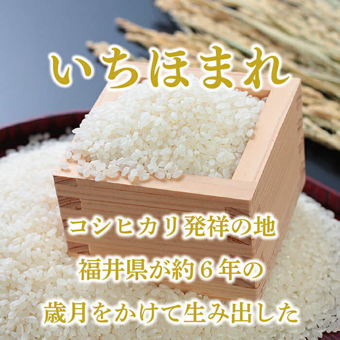 【ふるさと納税】【定期便2回】福井県産いちほまれ 10kg(5kg×2)×2回【令和5年度】/ 送料無料 福井県 越前市 米 いちほまれ 2023年産 令和5年産 2ヶ月 定期便 新生活(18209)