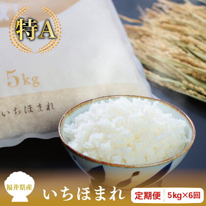 【定期便6回】福井県産いちほまれ 5kg×6回【令和5年度】/ 送料無料 福井県 越前市 米 いちほまれ 2023年 令和5年度産 6ヶ月 新生活(18209)