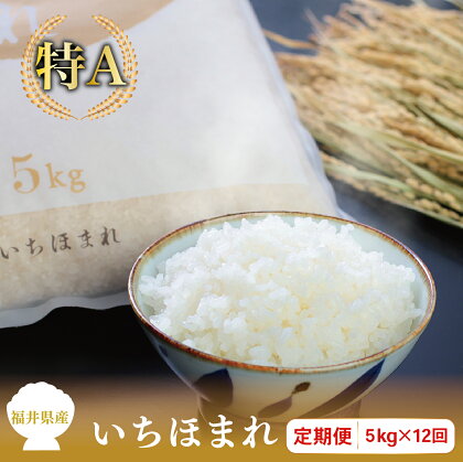 【定期便12回】福井県産いちほまれ 5kg×12回【令和5年度】/ 送料無料 福井県 越前市 米 いちほまれ 2023年度産 令和5年度産 12ヶ月 新生活(18209)