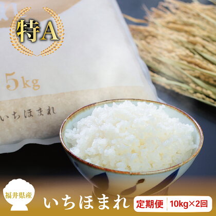 【定期便2回】福井県産いちほまれ 10kg(5kg×2)×2回【令和5年度】/ 送料無料 福井県 越前市 米 いちほまれ 2023年産 令和5年産 2ヶ月 定期便 新生活(18209)