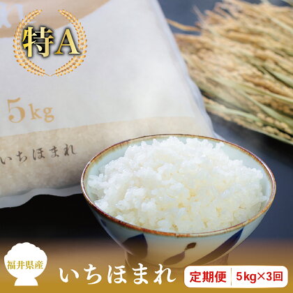 【定期便3回】福井県産いちほまれ 5kg×3回【令和5年度】/ 送料無料 福井県 越前市 米 いちほまれ 2023年産 3ヶ月 新生活(18209)