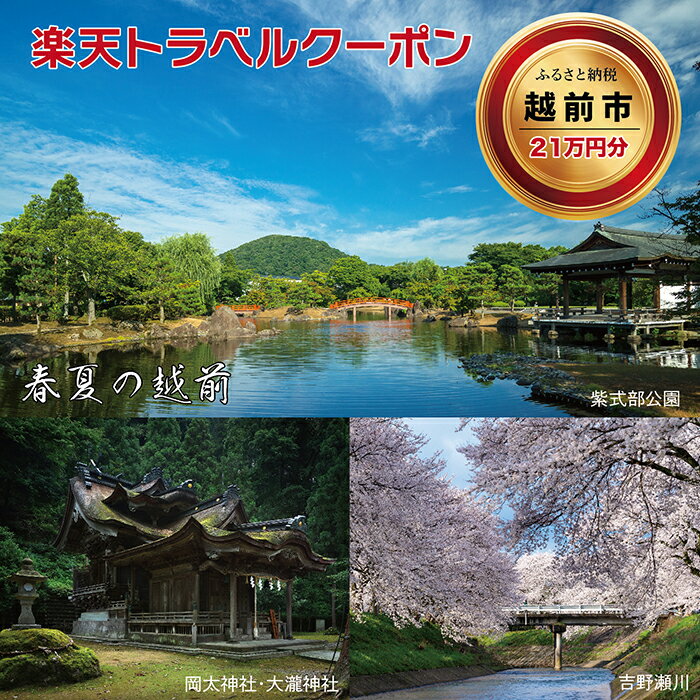 【ふるさと納税】福井県越前市の対象施設で使える楽天トラベルクーポン 寄付額700,000円(18209)その2